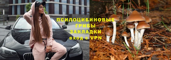 гидропоника Покров