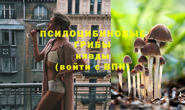 гидропоника Покров