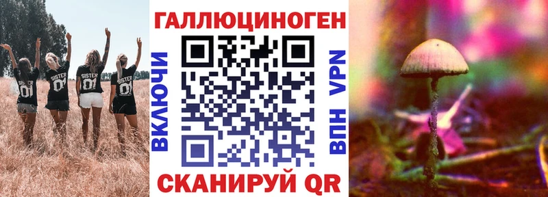 Псилоцибиновые грибы MAGIC MUSHROOMS  hydra ONION  Пудож 