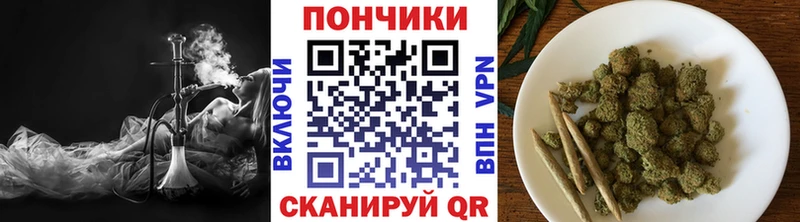 где можно купить наркотик  Пудож  Конопля гибрид 
